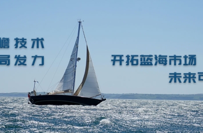 6686体育首页张燕生：前瞻技术布局发力，开拓蓝海市场可期